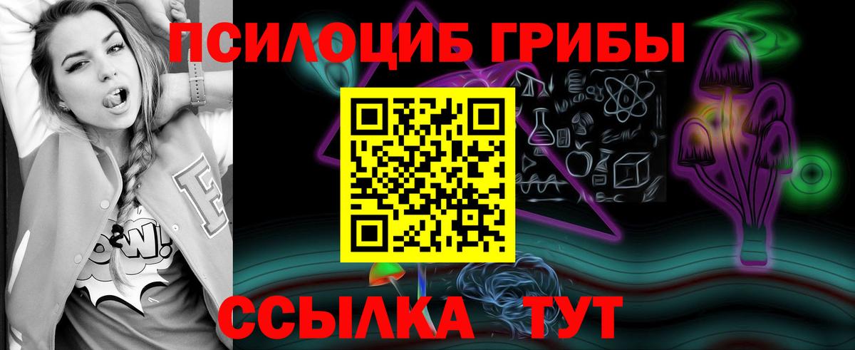 Галлюциногенные грибы Cubensis Кирово-Чепецк